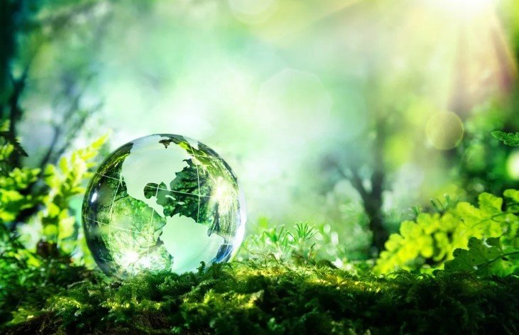 Nano Technology in Environmental Sustainability