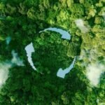 What Are The Environmental Impacts Of Nanotechnology