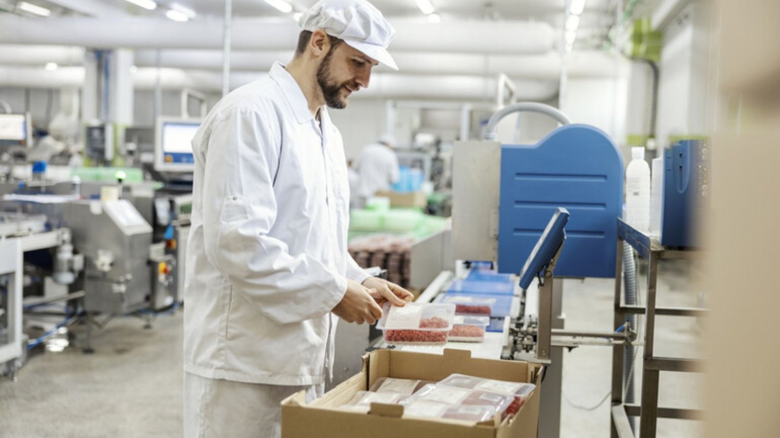 What Role Does Nanotechnology Play In Food Safety